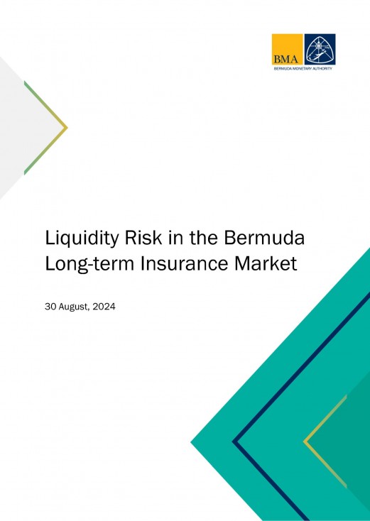 Liquidity Risk in the Bermuda Long-term Insurance Market