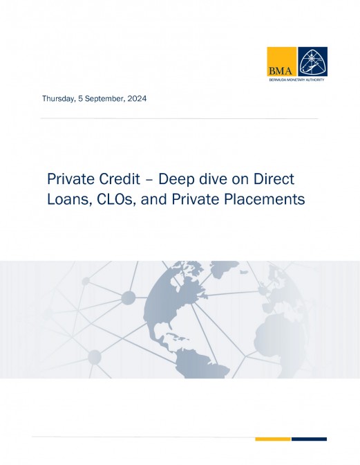 Private Credit - Deep dive on Direct Loans, CLOs and Private Placements