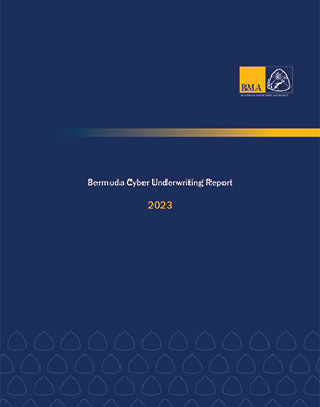 Bermuda Cyber Underwriting Report 2023