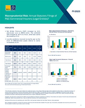 FY2023 Macroprudential Risk Report