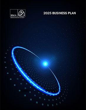 BMA Business Plan 2025