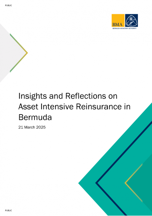Insights and Reflections on Asset Intensive Reinsurance