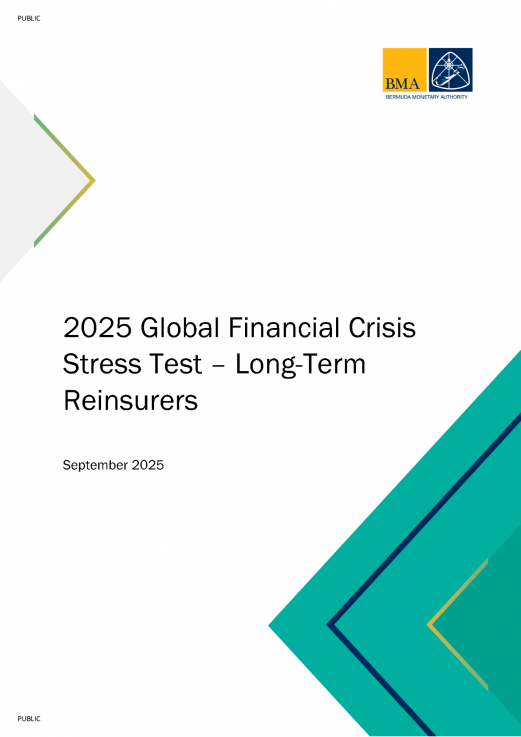 2025 Global Financial Crisis Stress Test – Long-Term