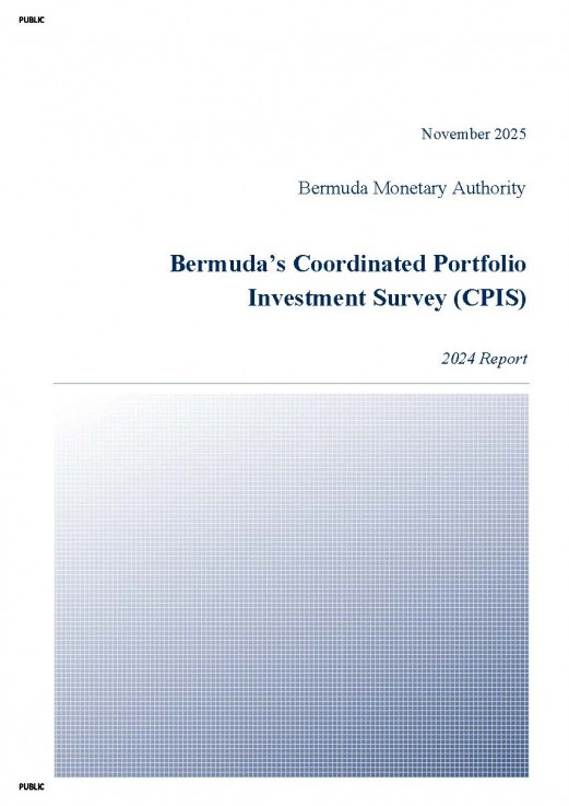 Bermudas Coordinated Portfolio Investment Survey (CPIS) - 2024 Report