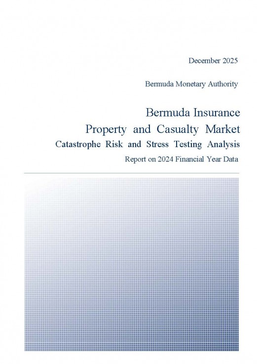 2024 Year-End Bermuda Insurance Property and Casualty Market Catastrophe Risk and Stress Testing Analysis Report (Class 3B and Class 4)