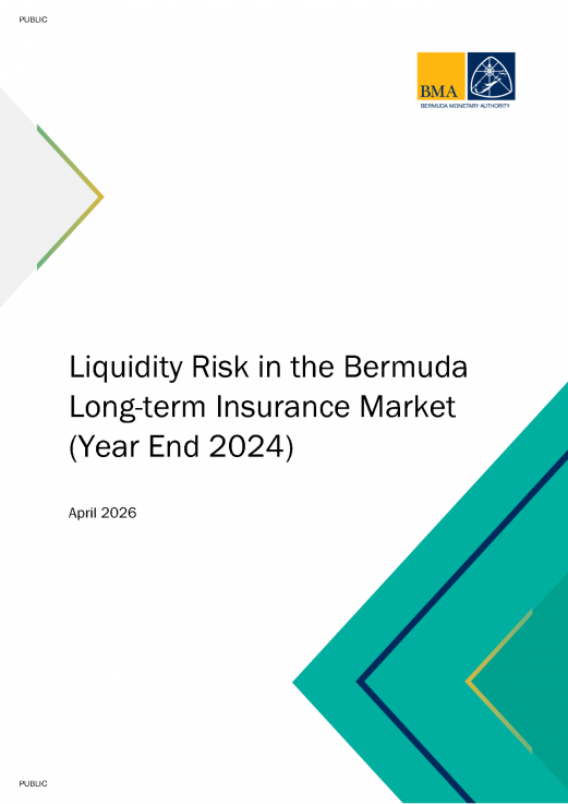 Liquidity Risk in the Bermuda Long-term Insurance Market (Year End 2024)